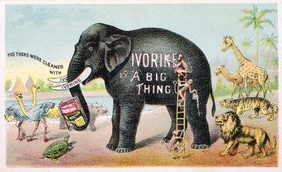 Ivorine is a Big Thing by American School